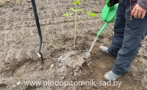 Превью видео