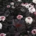 Пузыреплодник ДИАБЛО в Тамбове