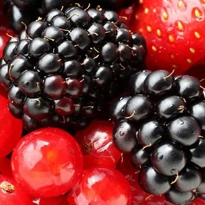 Ежевика  Ежевика в Тамбове