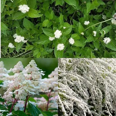 Комплект СКАНДИНАВСКИЙ СТИЛЬ в Тамбове