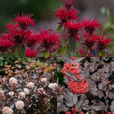 Комплект ОГНЕННЫЙ МИКС в Тамбове