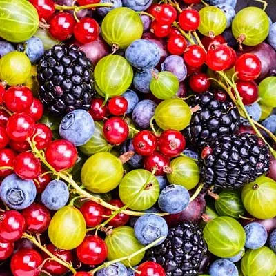 СУПЕР НОВИНКИ  СУПЕР НОВИНКИ в Тамбове