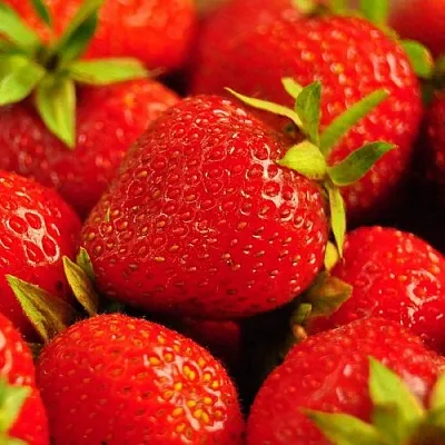 Клубника  Клубника в Тамбове