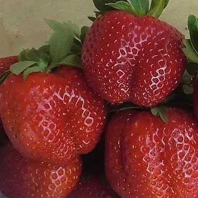 Клубника ДЕСТЕНИ  Клубника ДЕСТЕНИ в Тамбове