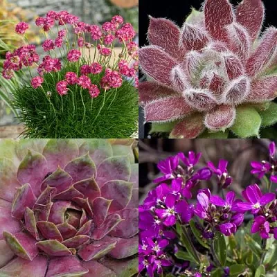 Комплект МИНИ САД в Тамбове