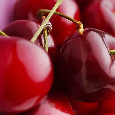 Вишня  Вишня в Тамбове