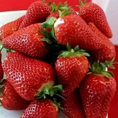 Клубника БРИЛЛА  Клубника БРИЛЛА в Тамбове