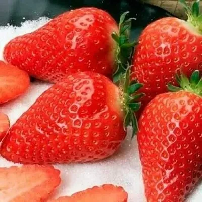 Клубника АЛЬБА  Клубника АЛЬБА в Тамбове